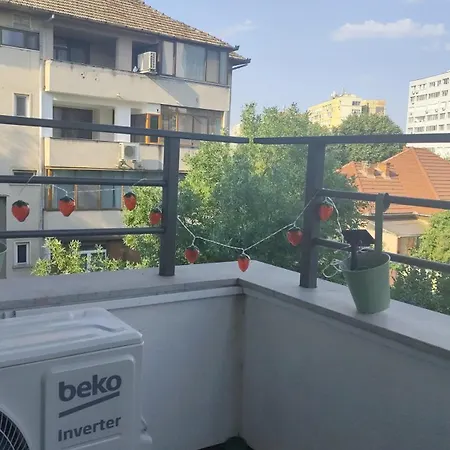 1 * Timişoara